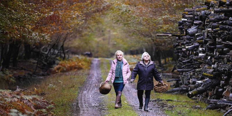 CUANDO CAE EL OTOÑO con François Ozon